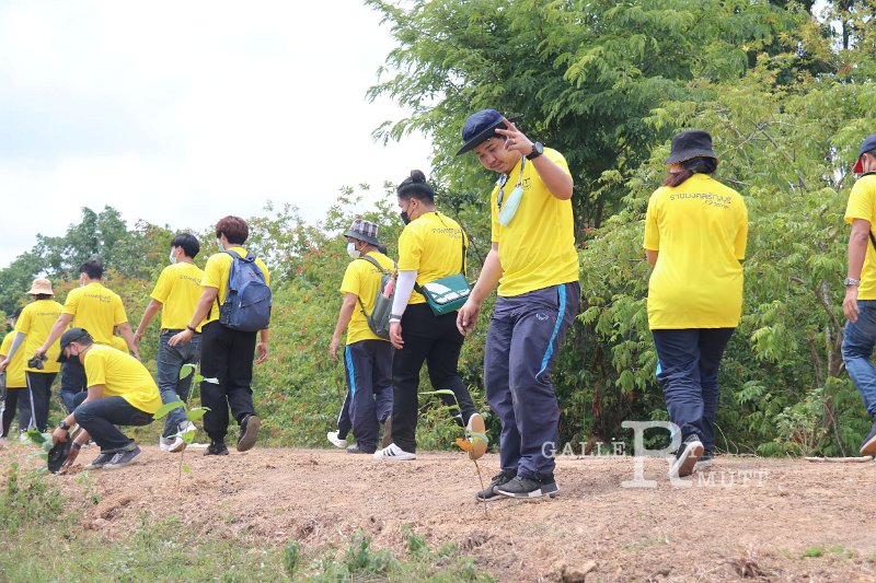 20210526-Tree planting dayt-046.jpg